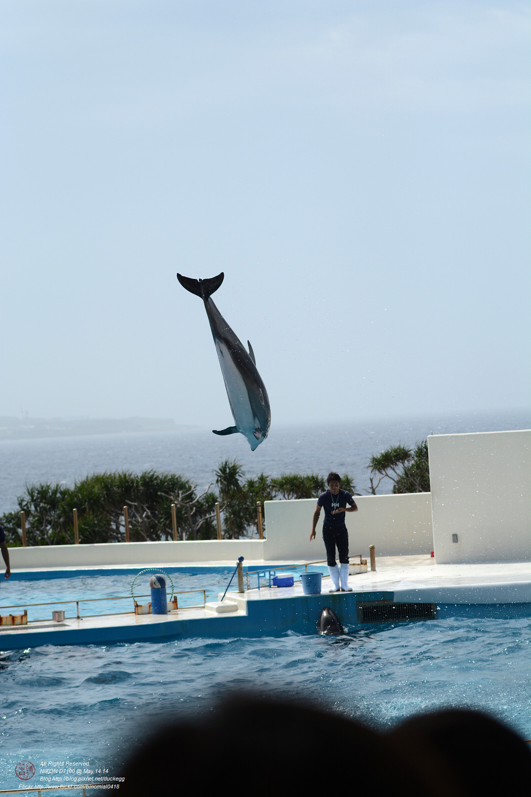 DSC_3086.jpg